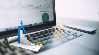 绿专资本助泰鹏环保启动上市辅导，网络技术开发能否扭转利润下滑局面？