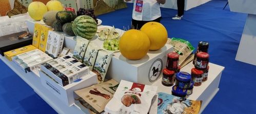 武威市文化旅游商品在“一会一节”中光彩夺目